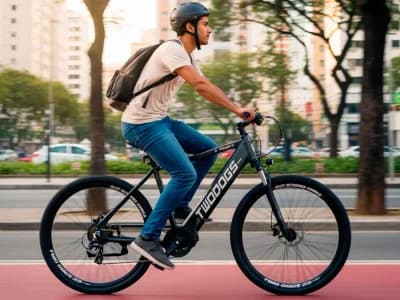Two Dogs Extreme E1: Vale a Pena em 2026?